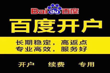 百度网络推广案例解析：成功企业如何实现品牌飞跃